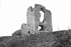 Vicari