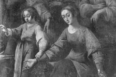 Cammarata