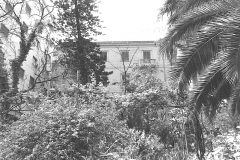 Palermo