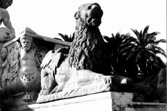 Messina