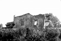 Palermo