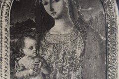 Siena