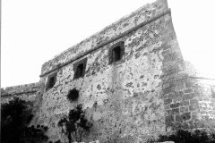 Licata