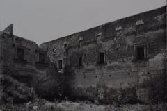 Naro